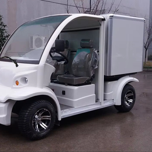 2 Seater Electric Cargo Box Cart