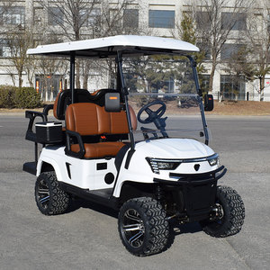 48V 72V AC Motor Street Legal 4 Seater Lithium Golf Electric Cart