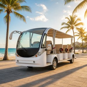 14 Passenger Electric Sightseeing Bus