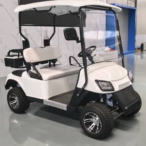 Electric Off-Road Golf Cart Buggy