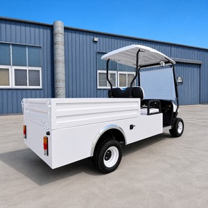 Electric Golf Cart Utility Vehicle 4 Wheels 2 Seats Tool Cart With Cargo Box