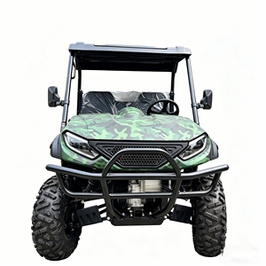 10KW 4WD Electric Off Road UTV Side by Side All Terrain Vehicle