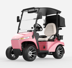 Single-Seat Electric Golf Cart