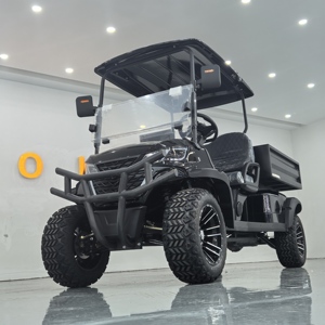 2 Seater Electric Cart with 72V Lithium Battery Removable Rear Seats Cargo Tie Downs