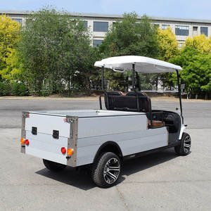 Airport Electric Golf Cart Passenger Shuttle