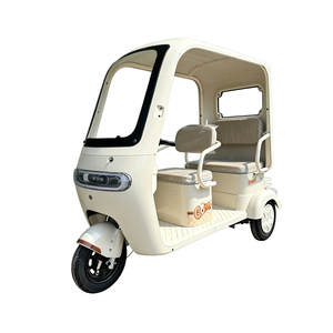 Convertible Electric Tricycle 3 Passenger