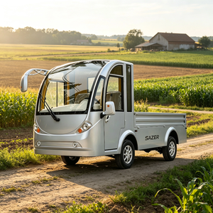 High Load 1 Ton Long Range Electric Vehicle for Farm Warehouse Park Material Hauling