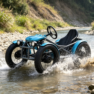 EF-B-001-4WD 4WD Electric Off Road Buggy