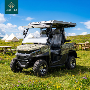 Off Road 6 Seater Electric Buggy 220V Lithium Battery