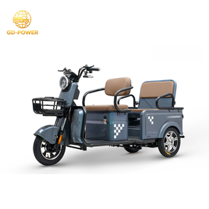 800W Electric Tricycle 2 Passengers Mobility Scooter