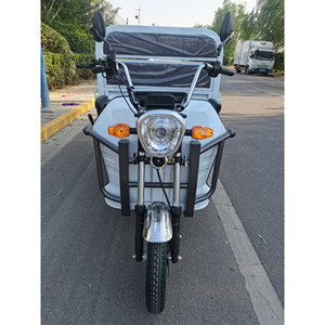 Electric Tricycle 3 Wheel