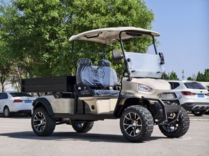 2 Seater Sporty Lifted Golf Cart