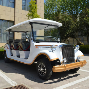 Luxury 12 Passenger Electric Classic Resort Shuttle