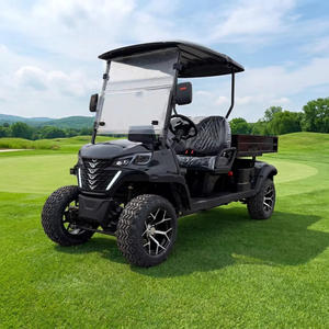 New Design 2 Seater Street Legal Black Electric Golf Cart with Cargo Bed Off-Road