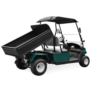 Self-Discharging Electric Car Loading Capacity 350kg Electric Cargo Cart
