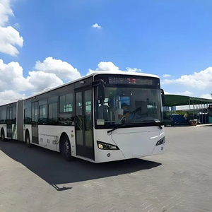 Skywell 18M BRT Articulated Electric Bus